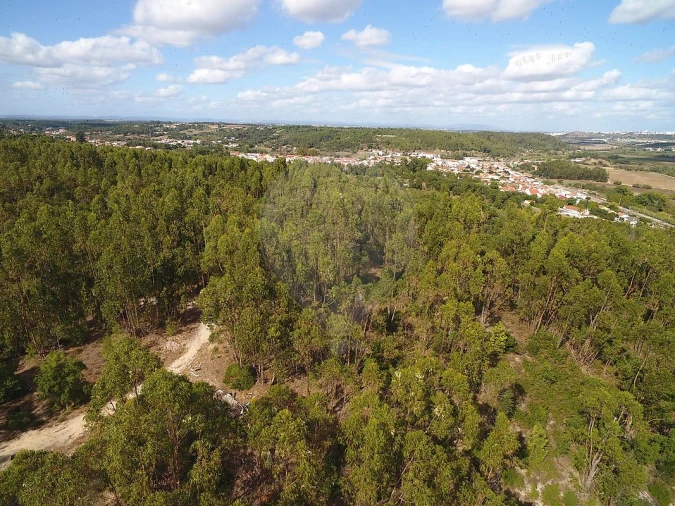 Terreno para Venda em Vale de Santarem Foto 12