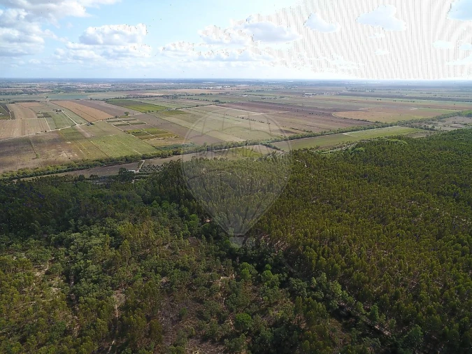 Terreno para Venda em Vale de Santarem Foto 6