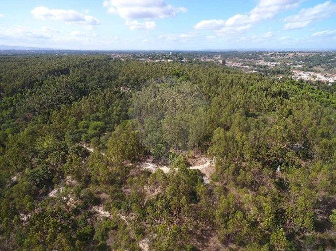 Terreno para Venda em Vale de Santarem Foto 8