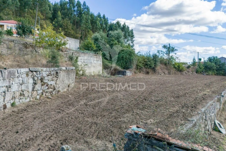 Terreno para Venda em Airão Santa Maria, Airão São João e Vermil Foto 15