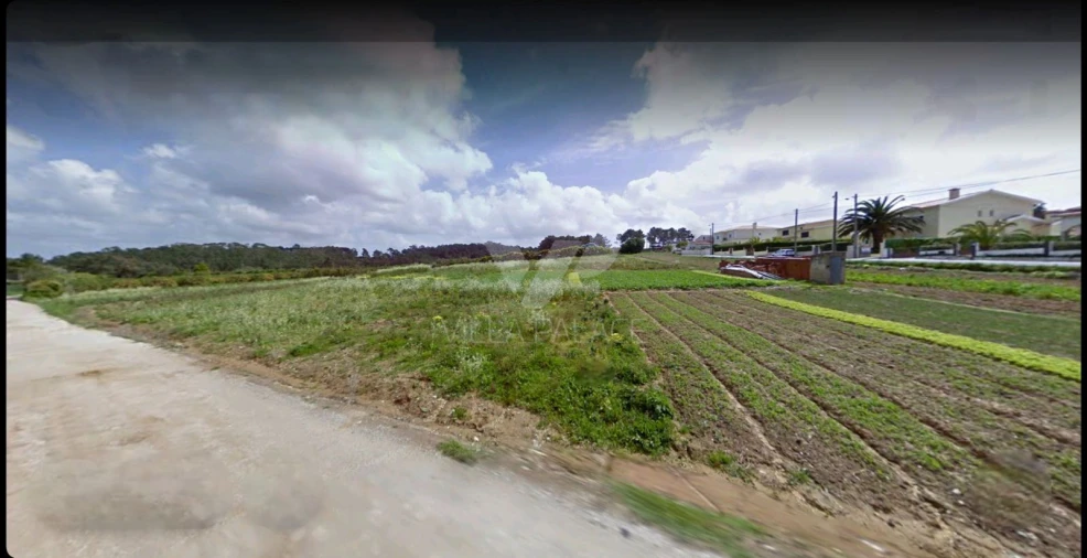 Terreno para Venda em Santo Isidoro Foto 7