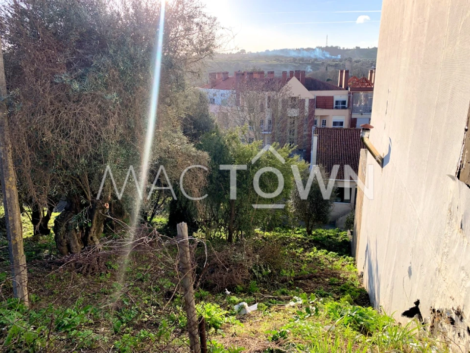 Terreno para Venda em Torres Novas (São Pedro), Lapas e Ribeira Branca Foto 4
