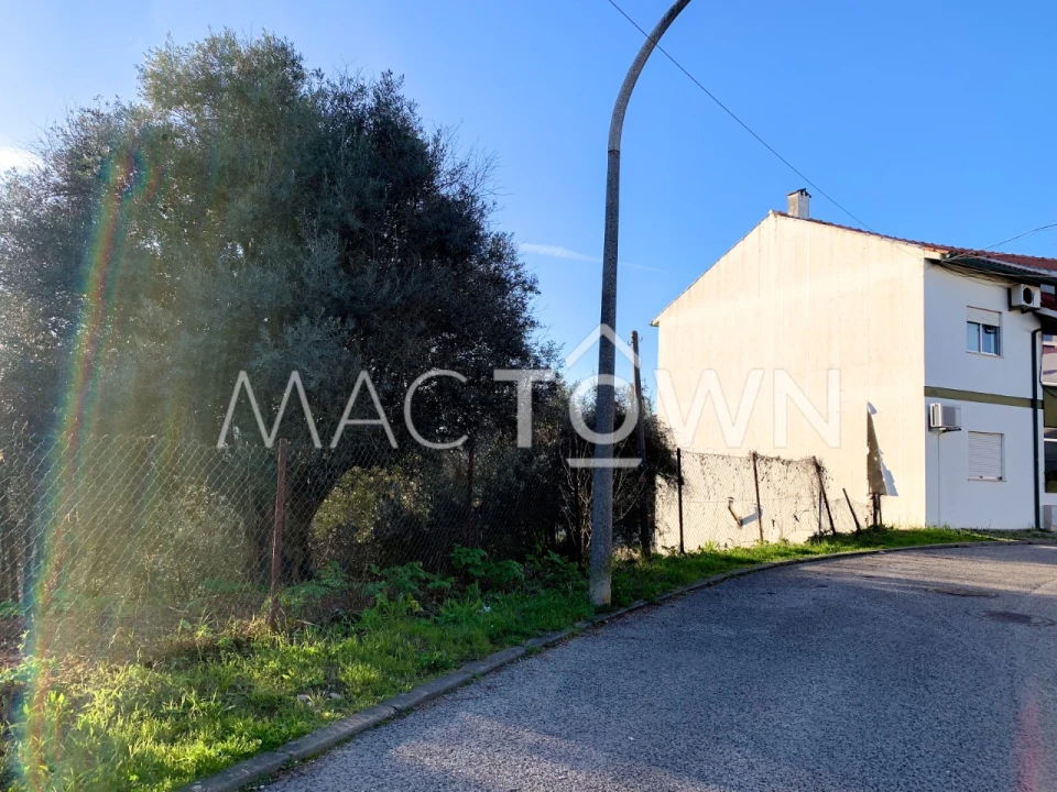 Terreno para Venda em Torres Novas (São Pedro), Lapas e Ribeira Branca Foto 12