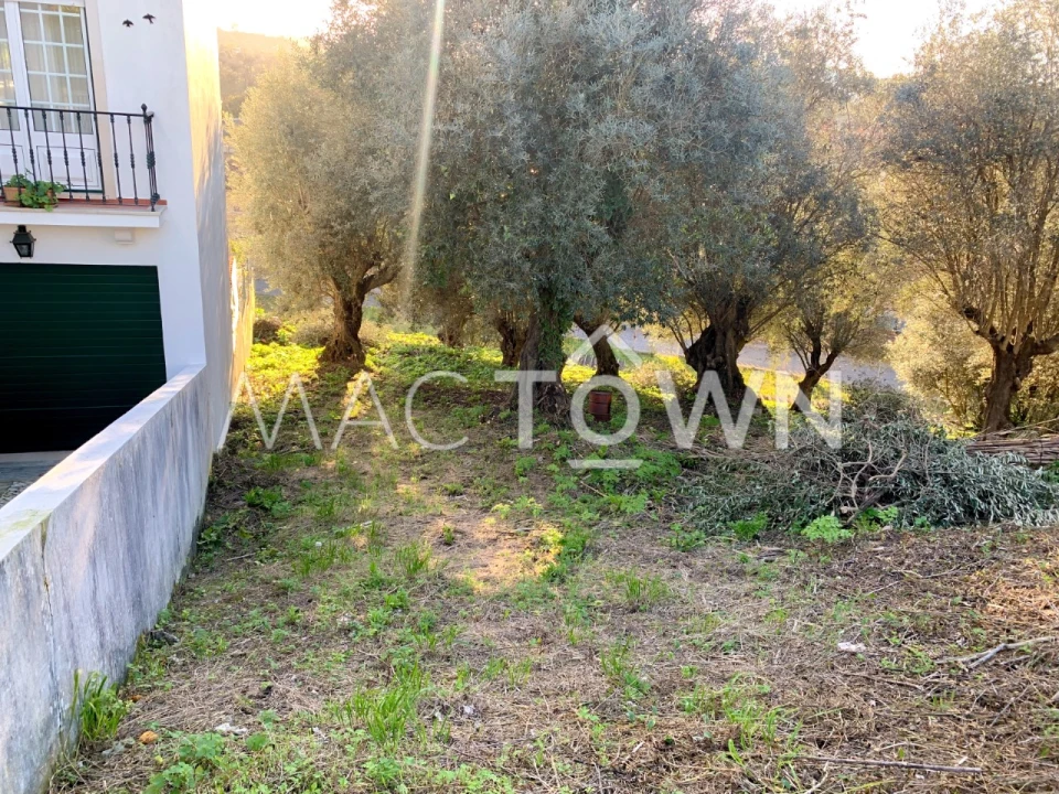 Terreno para Venda em Torres Novas (São Pedro), Lapas e Ribeira Branca Foto 13