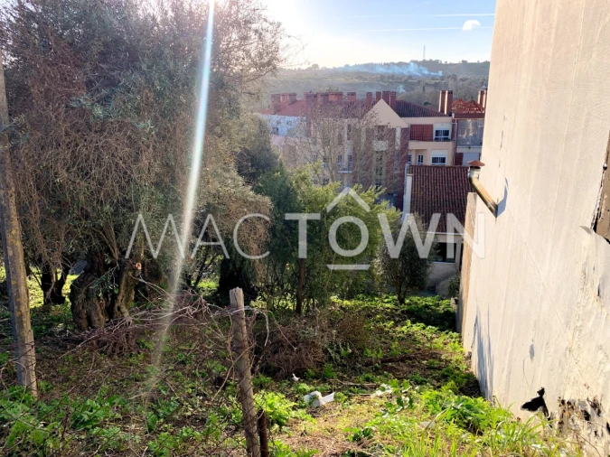 Terreno para Venda em Torres Novas (São Pedro), Lapas e Ribeira Branca Foto 4
