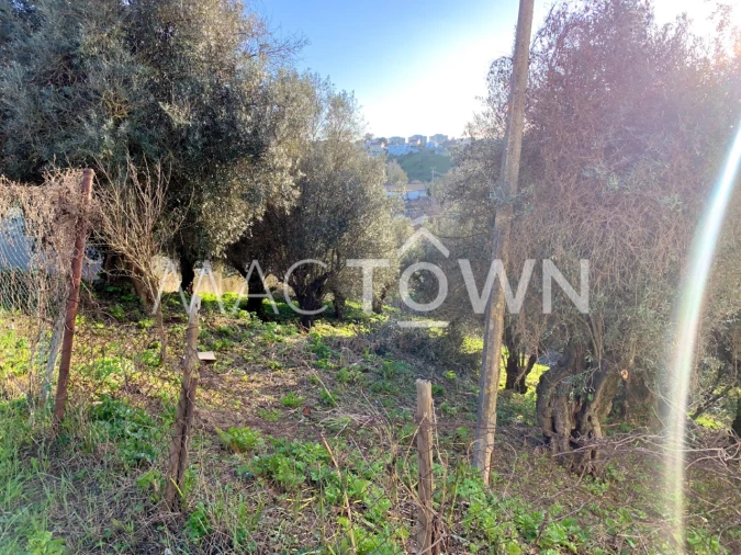 Terreno para Venda em Torres Novas (São Pedro), Lapas e Ribeira Branca Foto 6