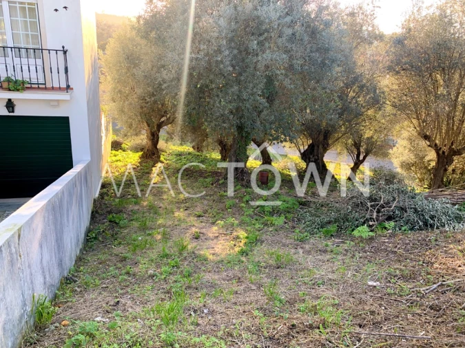 Terreno para Venda em Torres Novas (São Pedro), Lapas e Ribeira Branca Foto 13