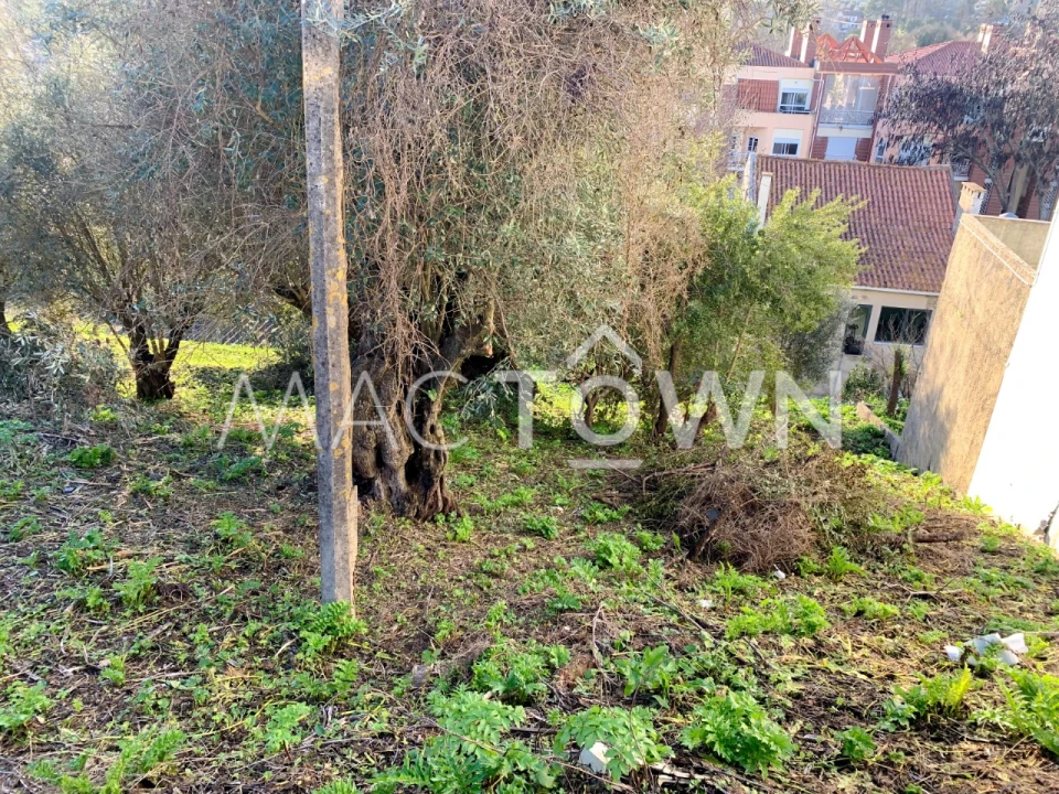 Terreno para Venda em Torres Novas (São Pedro), Lapas e Ribeira Branca Foto 10