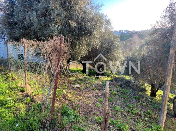 Terreno para Venda em Torres Novas (São Pedro), Lapas e Ribeira Branca Foto 9