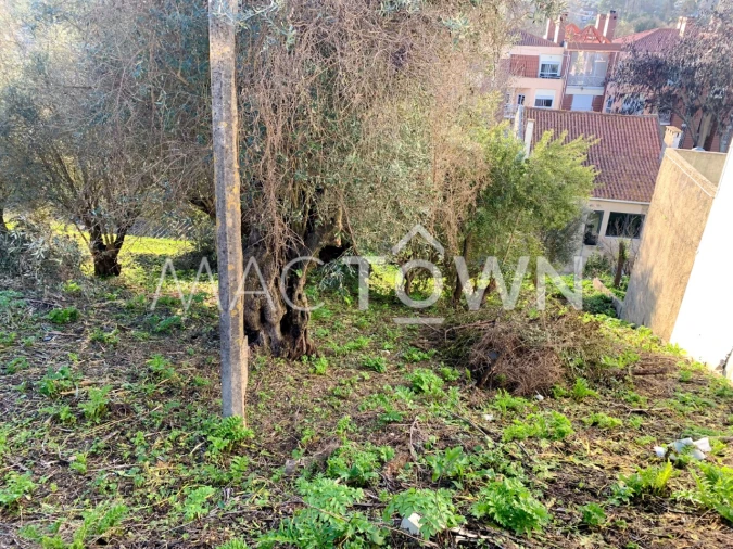 Terreno para Venda em Torres Novas (São Pedro), Lapas e Ribeira Branca Foto 10