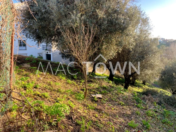 Terreno para Venda em Torres Novas (São Pedro), Lapas e Ribeira Branca Foto 11