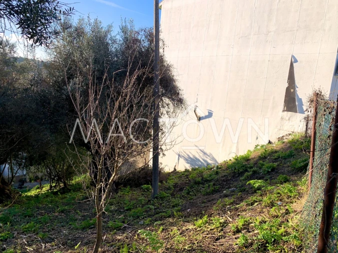 Terreno para Venda em Torres Novas (São Pedro), Lapas e Ribeira Branca Foto 12