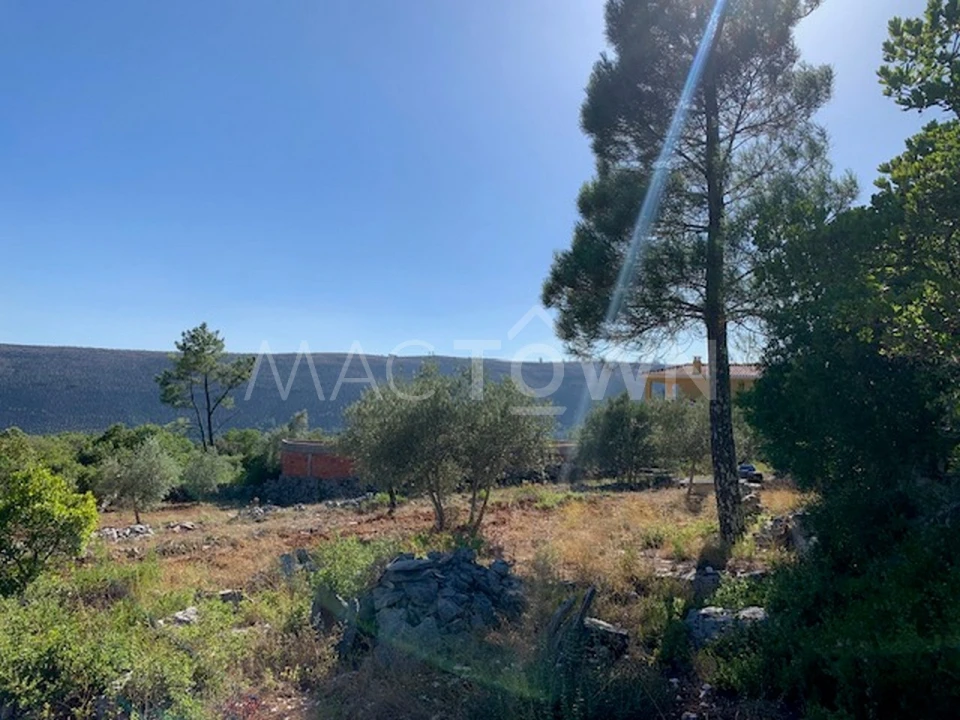 Terreno para Venda em Mira de Aire Foto 1