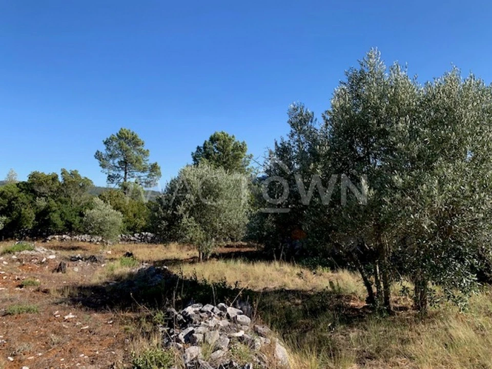 Terreno para Venda em Mira de Aire Foto 5
