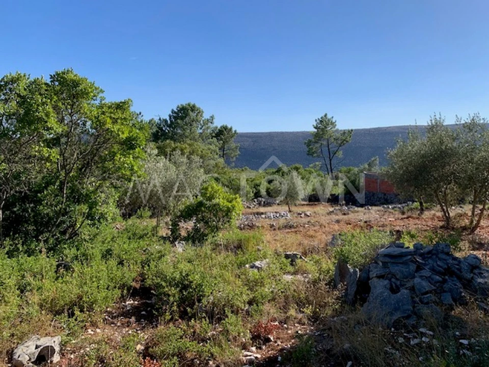 Terreno para Venda em Mira de Aire Foto 9