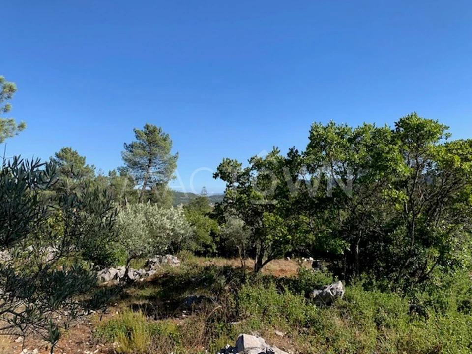 Terreno para Venda em Mira de Aire Foto 10