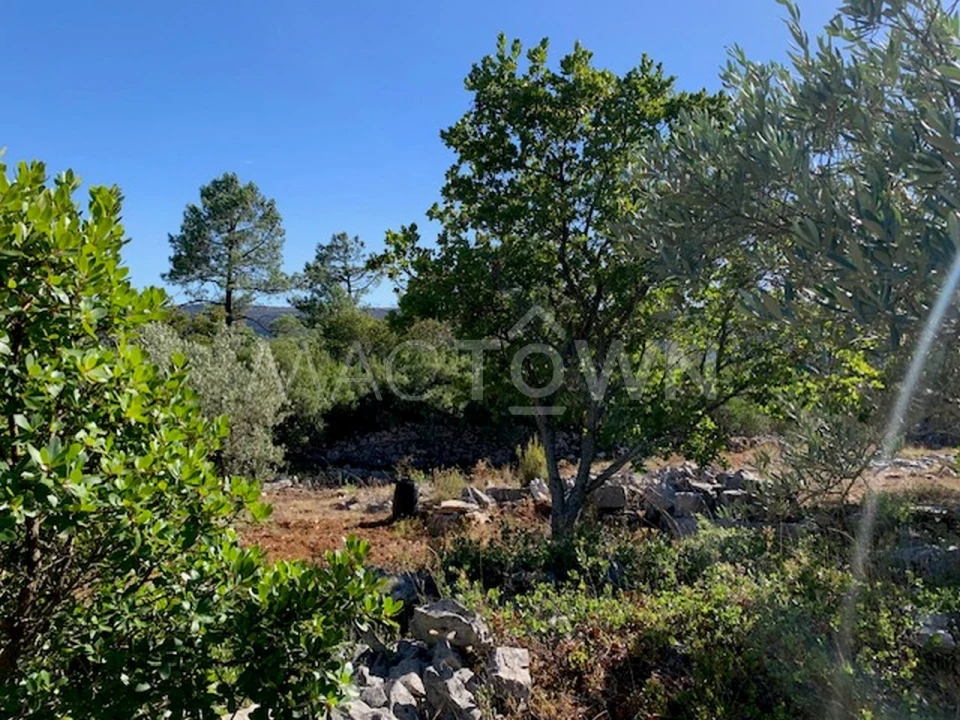 Terreno para Venda em Mira de Aire Foto 11