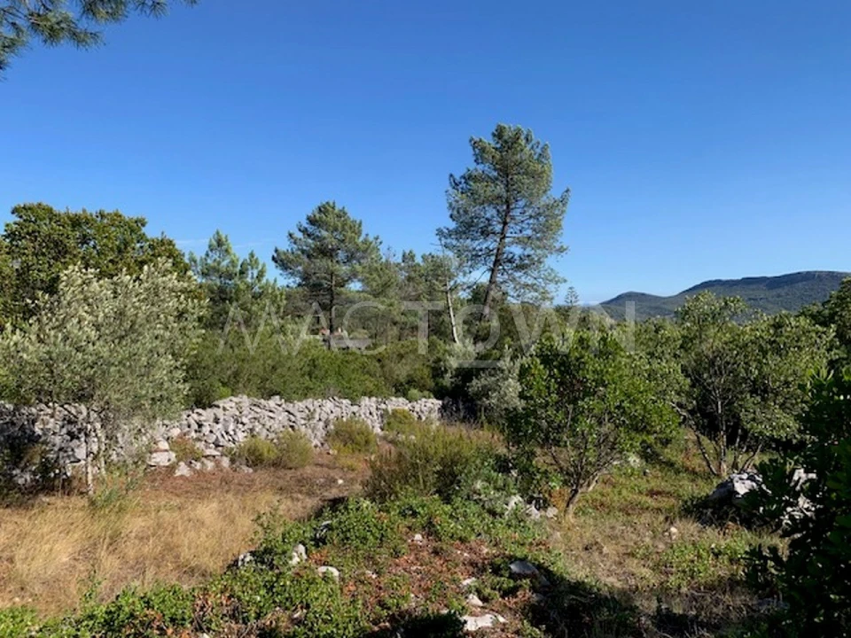 Terreno para Venda em Mira de Aire Foto 12