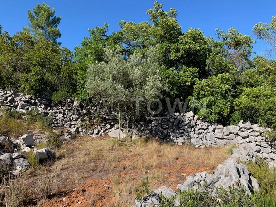 Terreno para Venda em Mira de Aire Foto 13