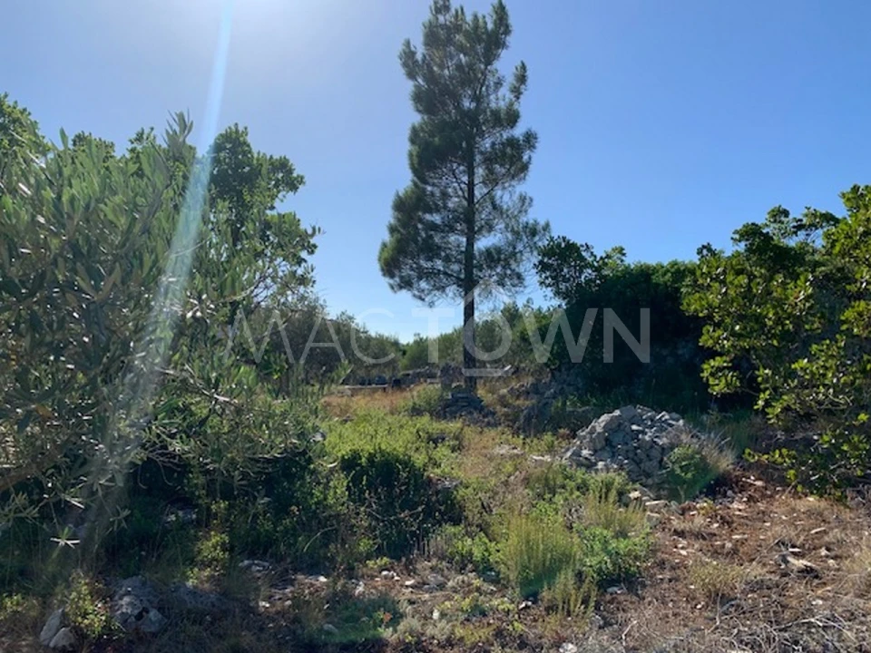 Terreno para Venda em Mira de Aire Foto 14