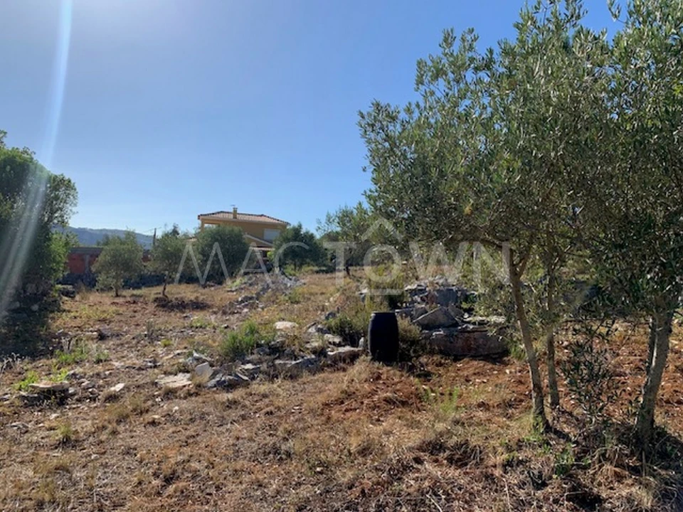 Terreno para Venda em Mira de Aire Foto 16