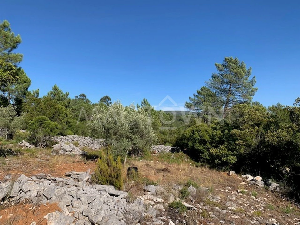 Terreno para Venda em Mira de Aire Foto 23