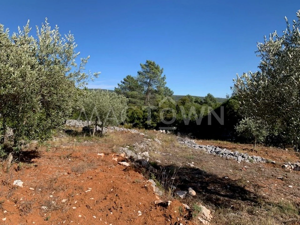 Terreno para Venda em Mira de Aire Foto 27
