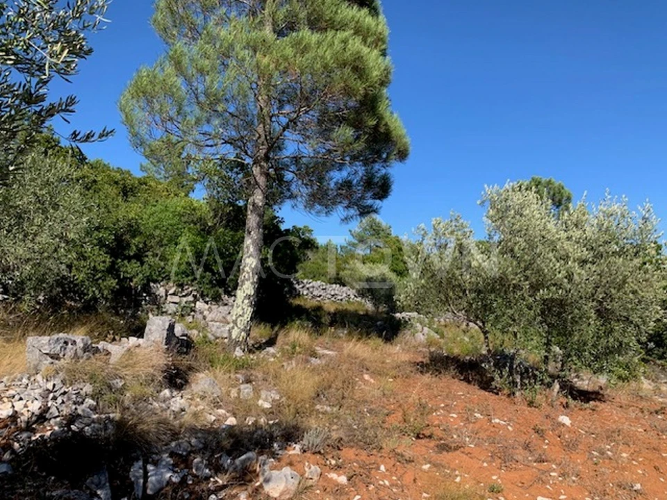 Terreno para Venda em Mira de Aire Foto 28