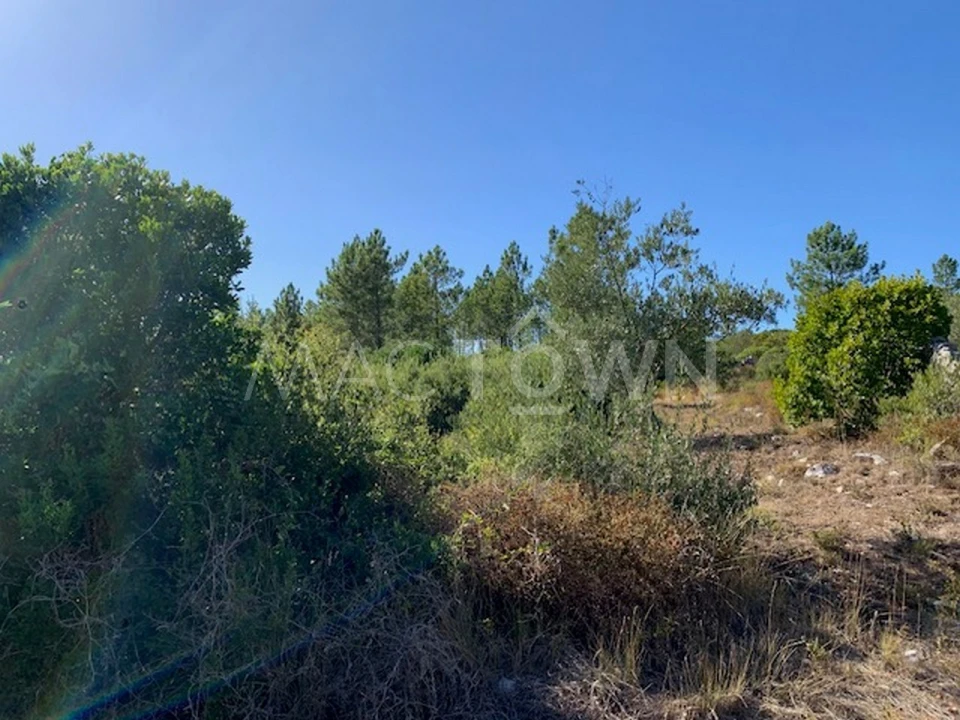 Terreno para Venda em Mira de Aire Foto 36