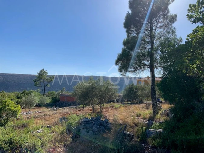 Terreno para Venda em Mira de Aire Foto 1