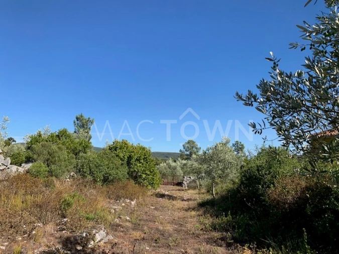 Terreno para Venda em Mira de Aire Foto 3