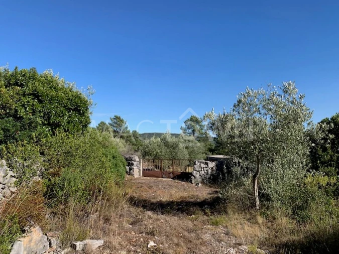 Terreno para Venda em Mira de Aire Foto 4