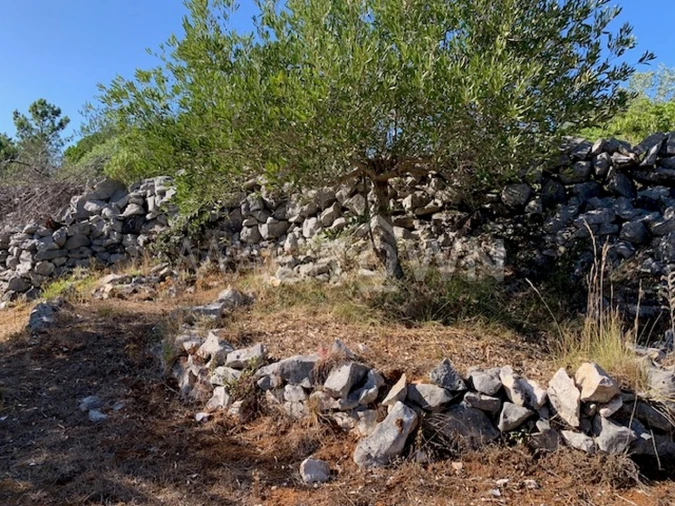 Terreno para Venda em Mira de Aire Foto 7