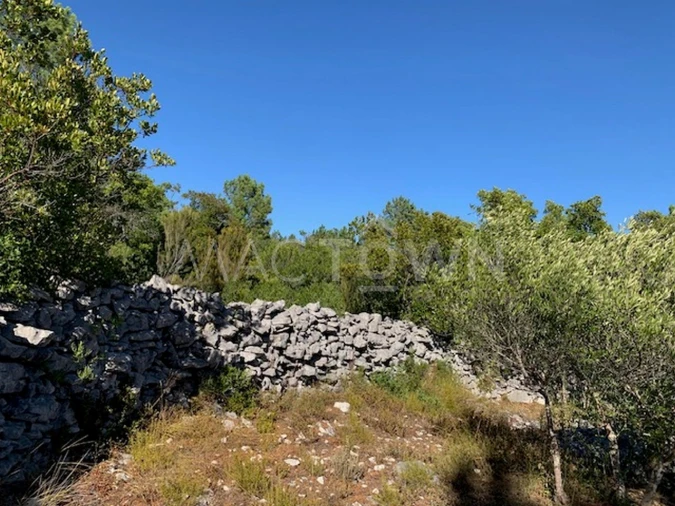 Terreno para Venda em Mira de Aire Foto 8