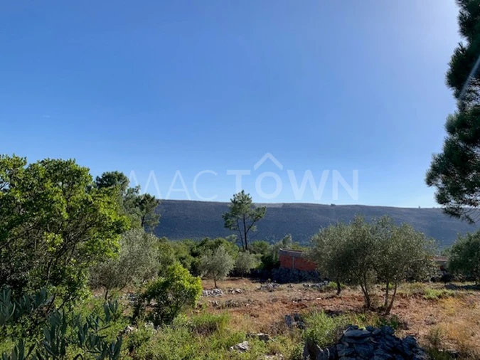 Terreno para Venda em Mira de Aire Foto 15
