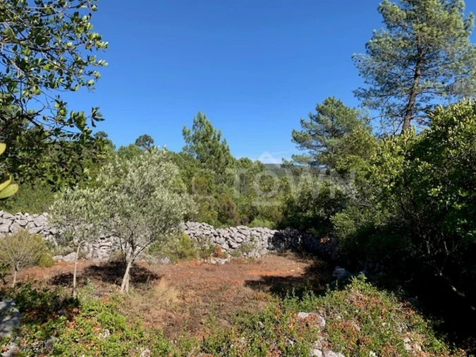 Terreno para Venda em Mira de Aire Foto 18