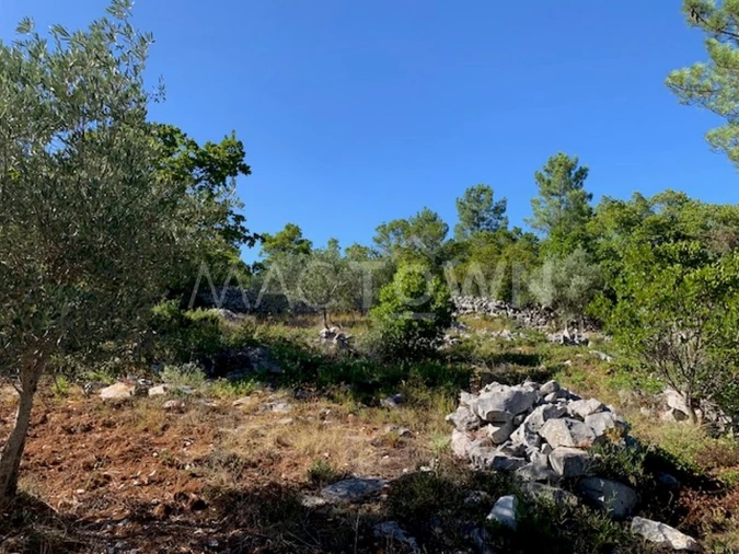 Terreno para Venda em Mira de Aire Foto 19