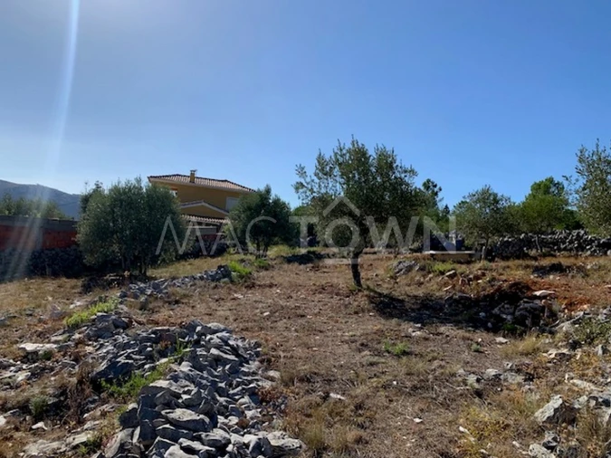 Terreno para Venda em Mira de Aire Foto 20