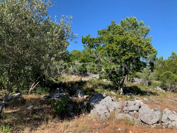 Terreno para Venda em Mira de Aire Foto 22