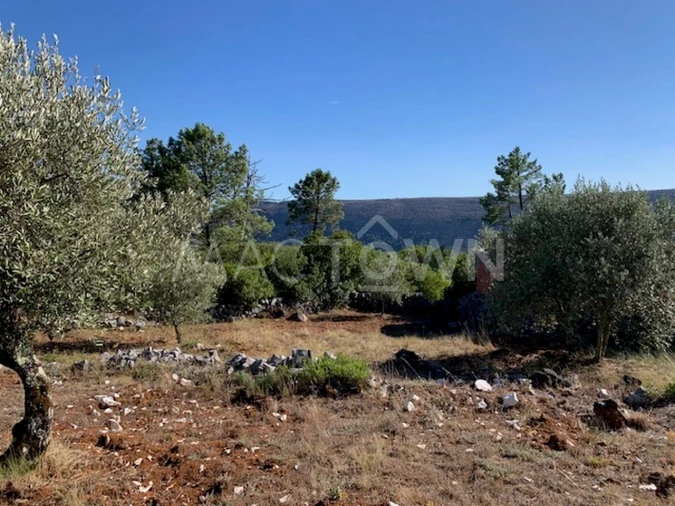 Terreno para Venda em Mira de Aire Foto 26