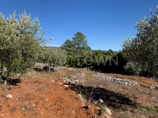 Terreno para Venda em Mira de Aire Foto 27
