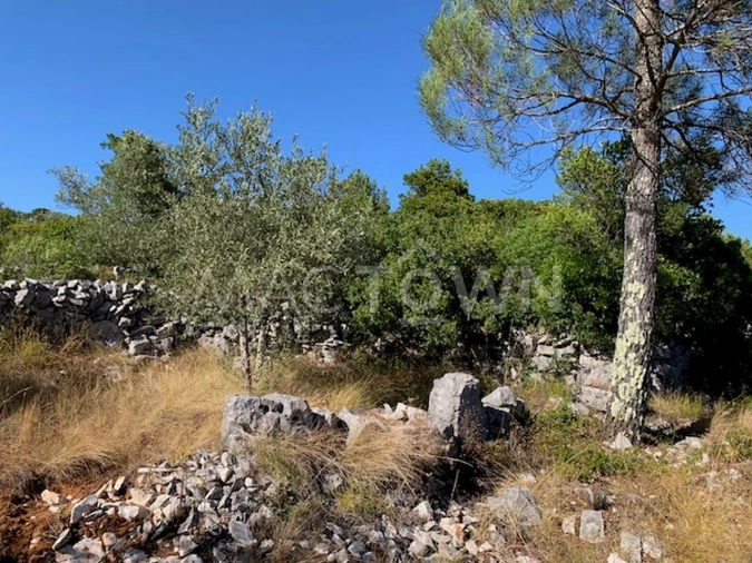 Terreno para Venda em Mira de Aire Foto 29