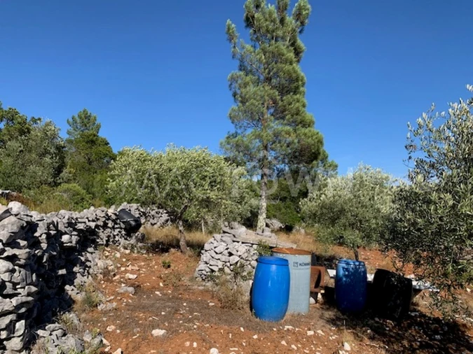 Terreno para Venda em Mira de Aire Foto 30