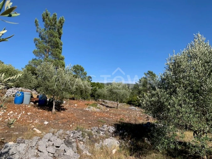 Terreno para Venda em Mira de Aire Foto 31
