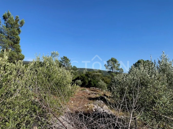Terreno para Venda em Mira de Aire Foto 34