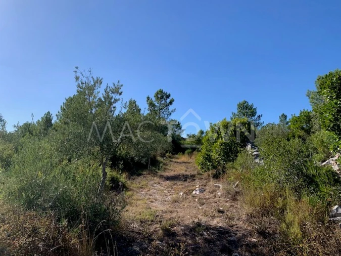 Terreno para Venda em Mira de Aire Foto 35
