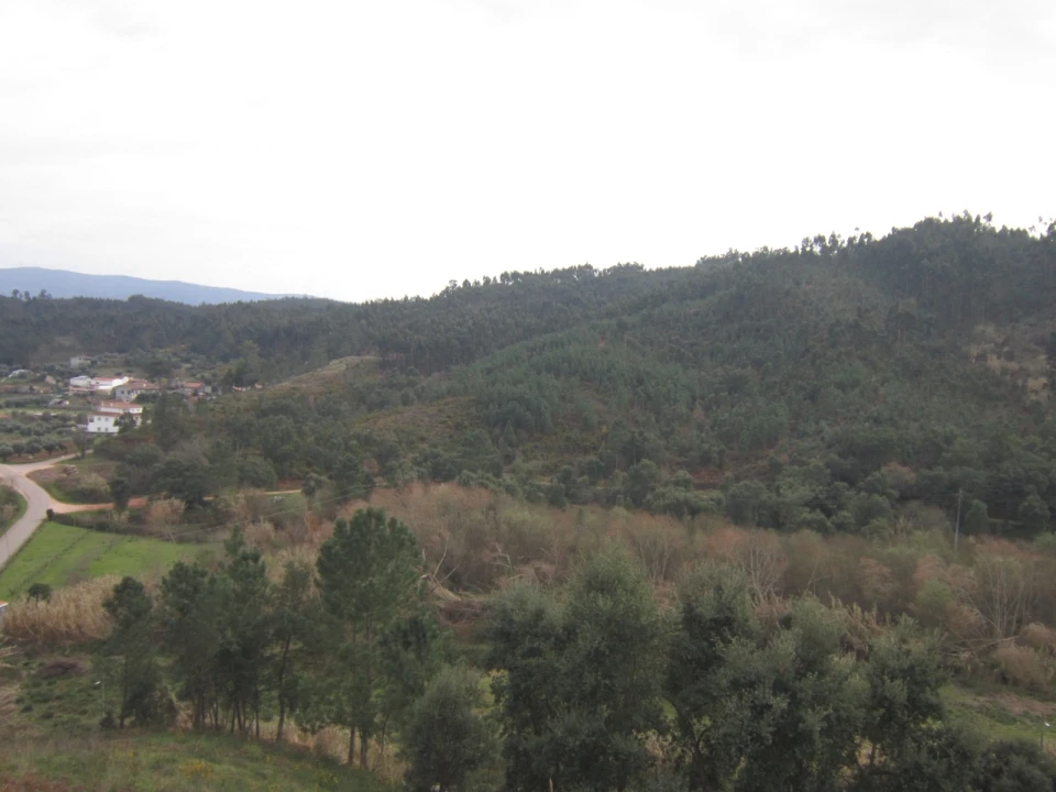 Moradia T3 para Venda em Almalagues Foto 40