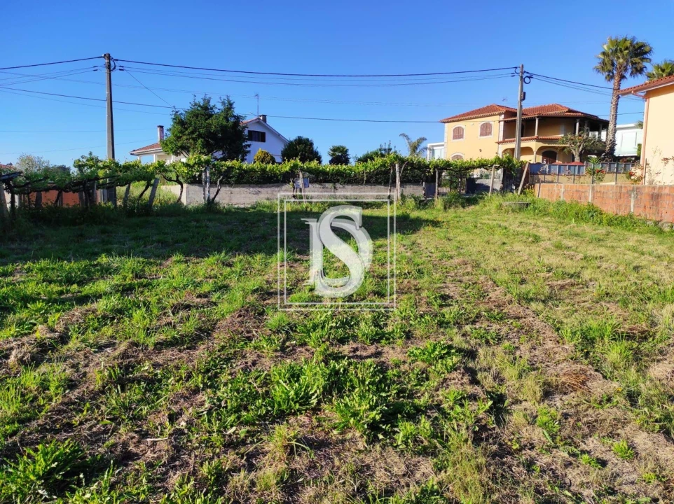 Terreno para Venda em Forjães Foto 4