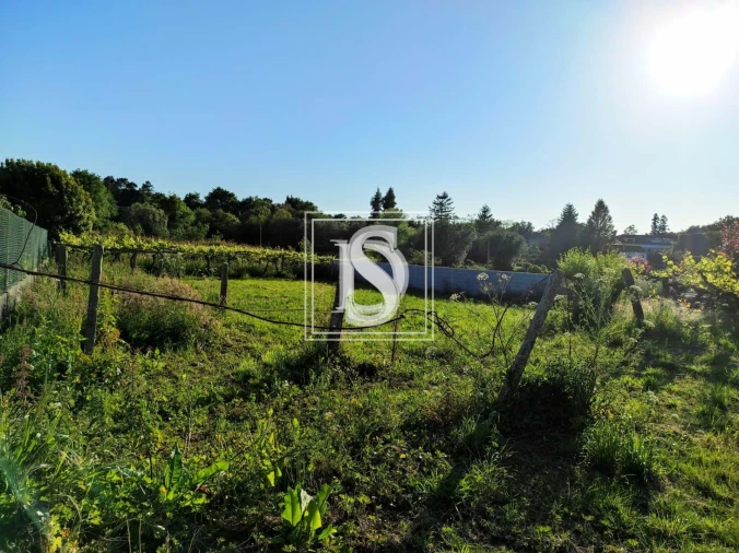 Terreno para Venda em Forjães Foto 7