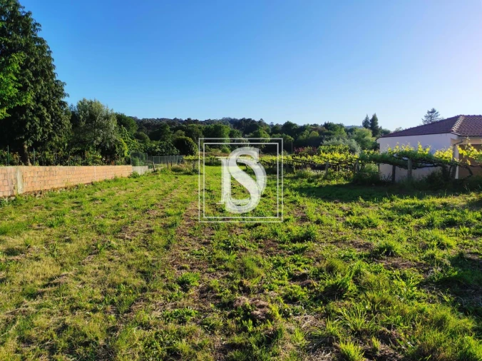 Terreno para Venda em Forjães Foto 3